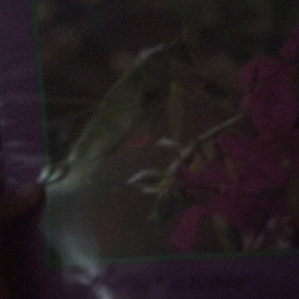 Book - Picture 3 of 5